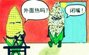 73edfb34-daad-4ce2-8f36-99b75196167e