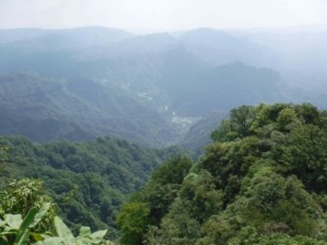 IMG_1384