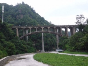 IMG_1391