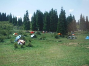 IMG_1402