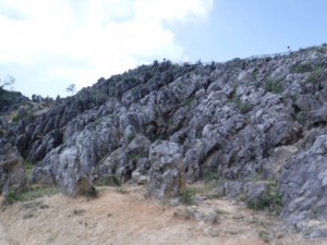 IMG_1405