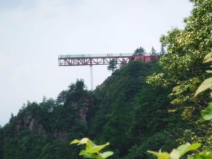 IMG_1412
