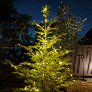 IMG_20181221_195304_864