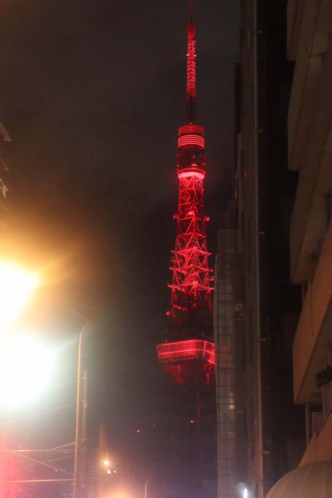 dongjingta.d22019.02.12