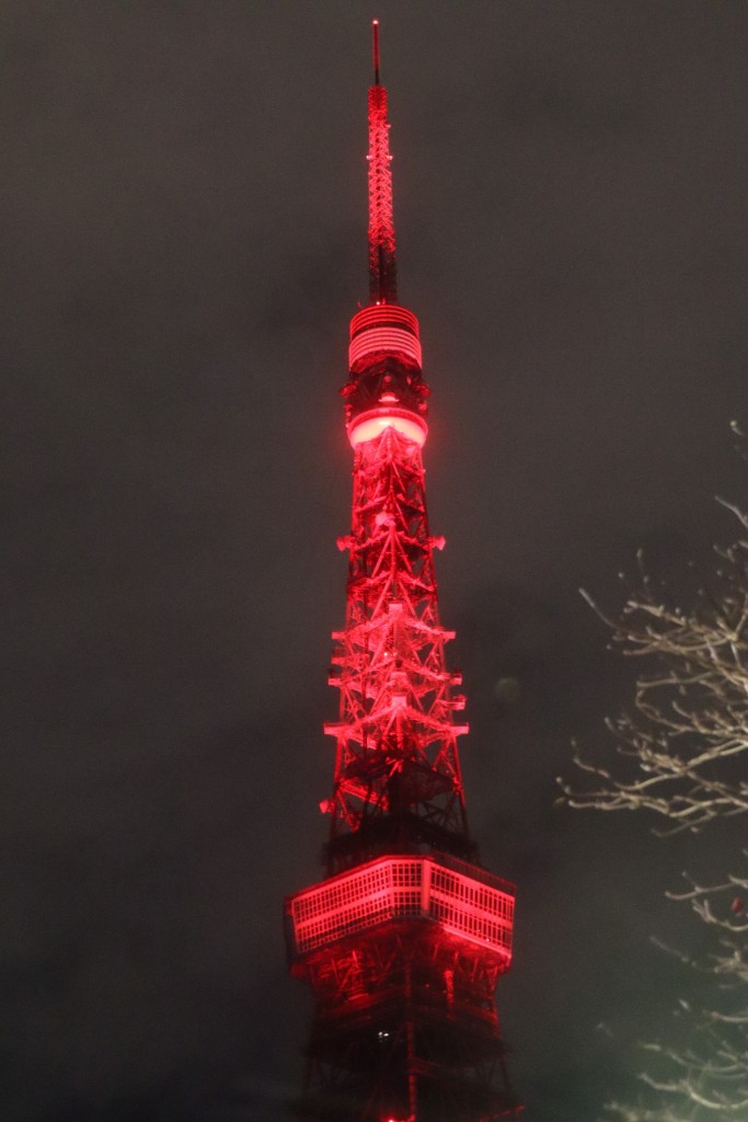 dongjingtad32019.02.13