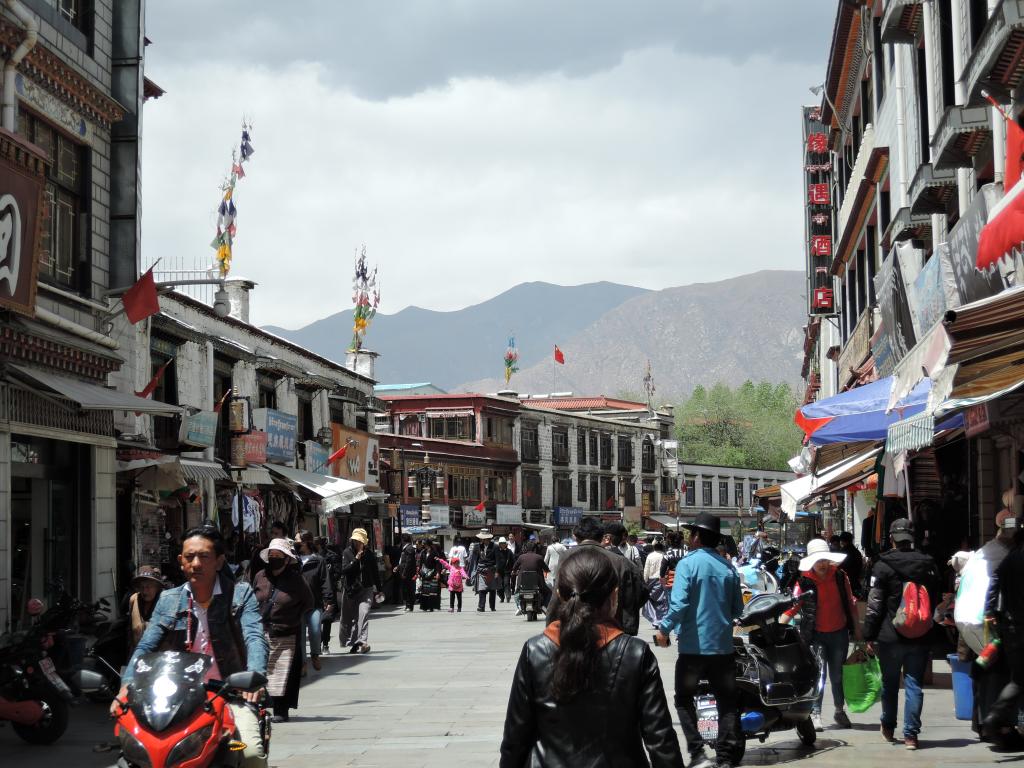 この画像には alt 属性が指定されておらず、ファイル名は DSCN6537-1024x768.jpg です