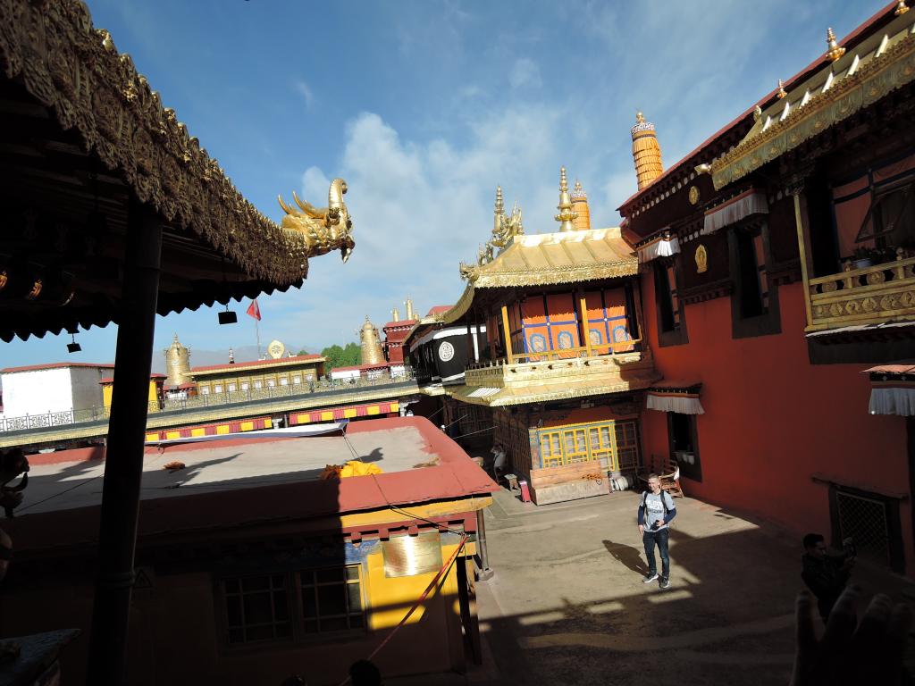 この画像には alt 属性が指定されておらず、ファイル名は DSCN6579-1024x768.jpg です