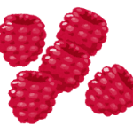 fruits_raspberry[1]