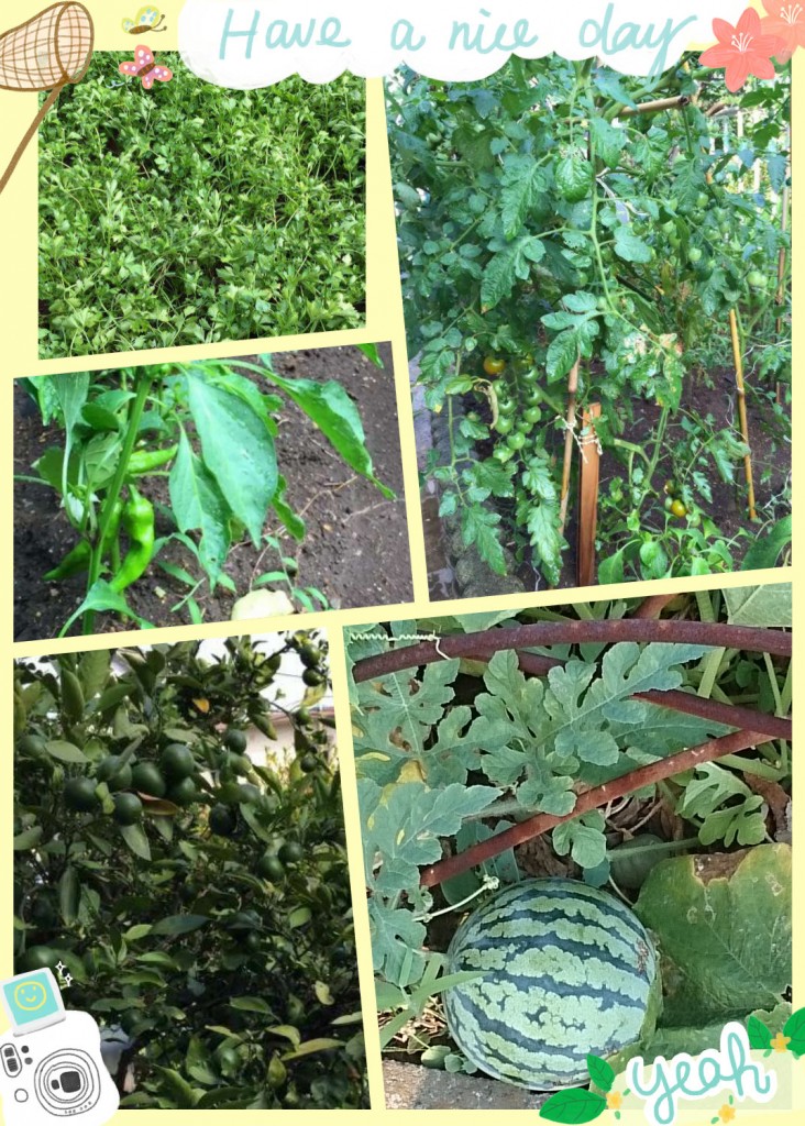 pt2015_08_05_15_56_03