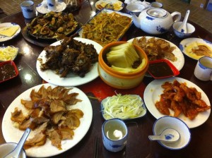 ab224853jw1e3bhyrjcivj