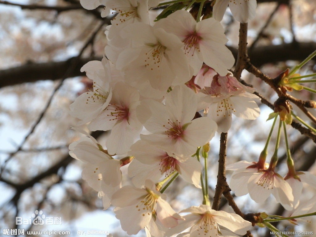 4b90f603738da977afc0dc10b251f8198618e31a