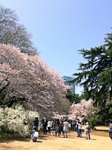 8D45C85F-8FBD-4C10-91C0-14F09936282C