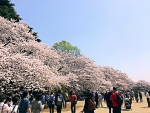 8D4DAE28-C13D-4E75-9189-9D50E634A91F