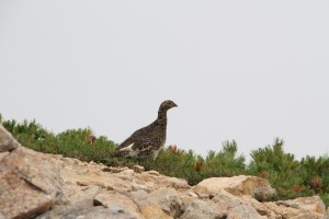 201808_omote (8) (1280x853)